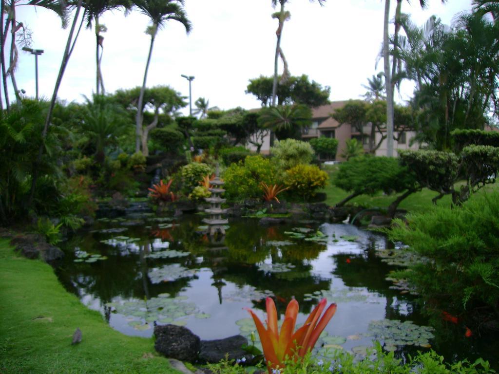 Pono Kai Resort By Bluegreen Kauai Eksteriør billede